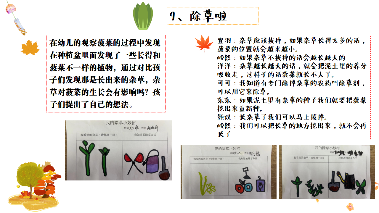 幼儿园班本课程故事——遇见菠菜（58页）_幼儿园班本课程_29.png