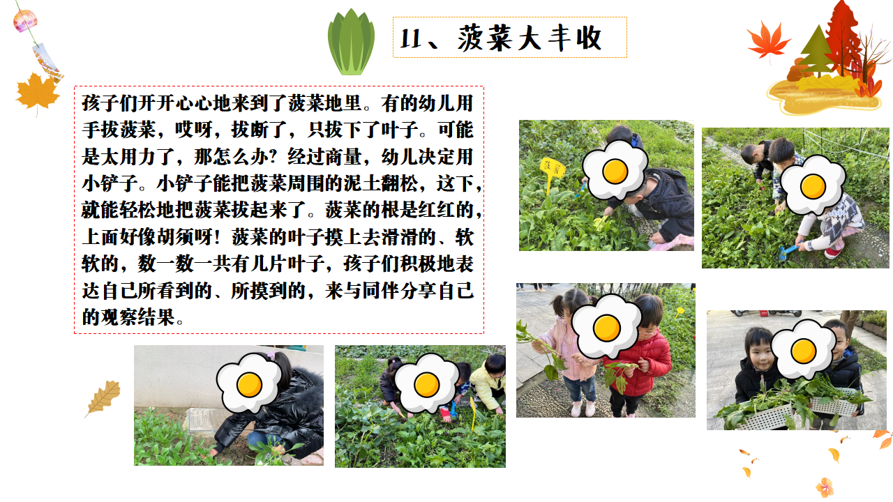 幼儿园班本课程故事——遇见菠菜（58页）_幼儿园班本课程_33.png