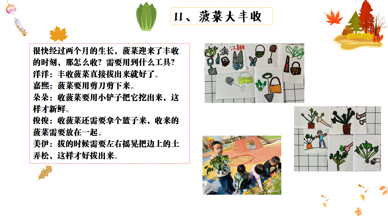 幼儿园班本课程故事——遇见菠菜（58页）_幼儿园班本课程_32.png