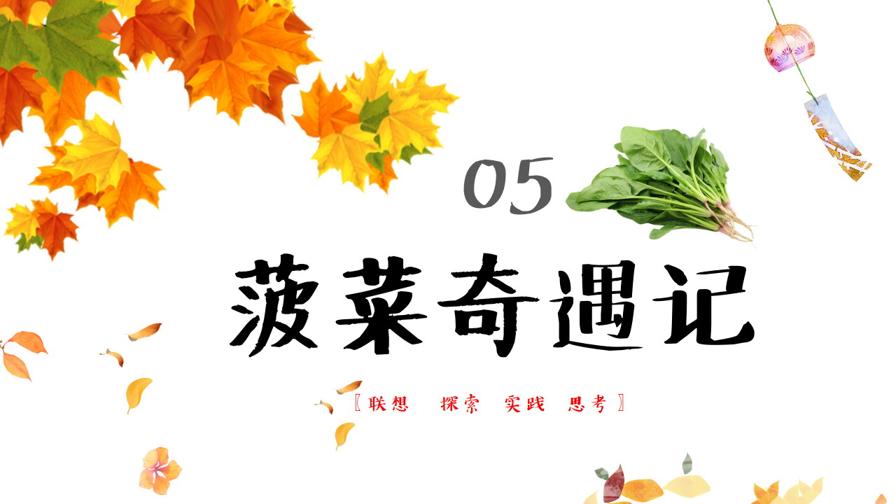 幼儿园班本课程故事——遇见菠菜（58页）_幼儿园班本课程_45.png