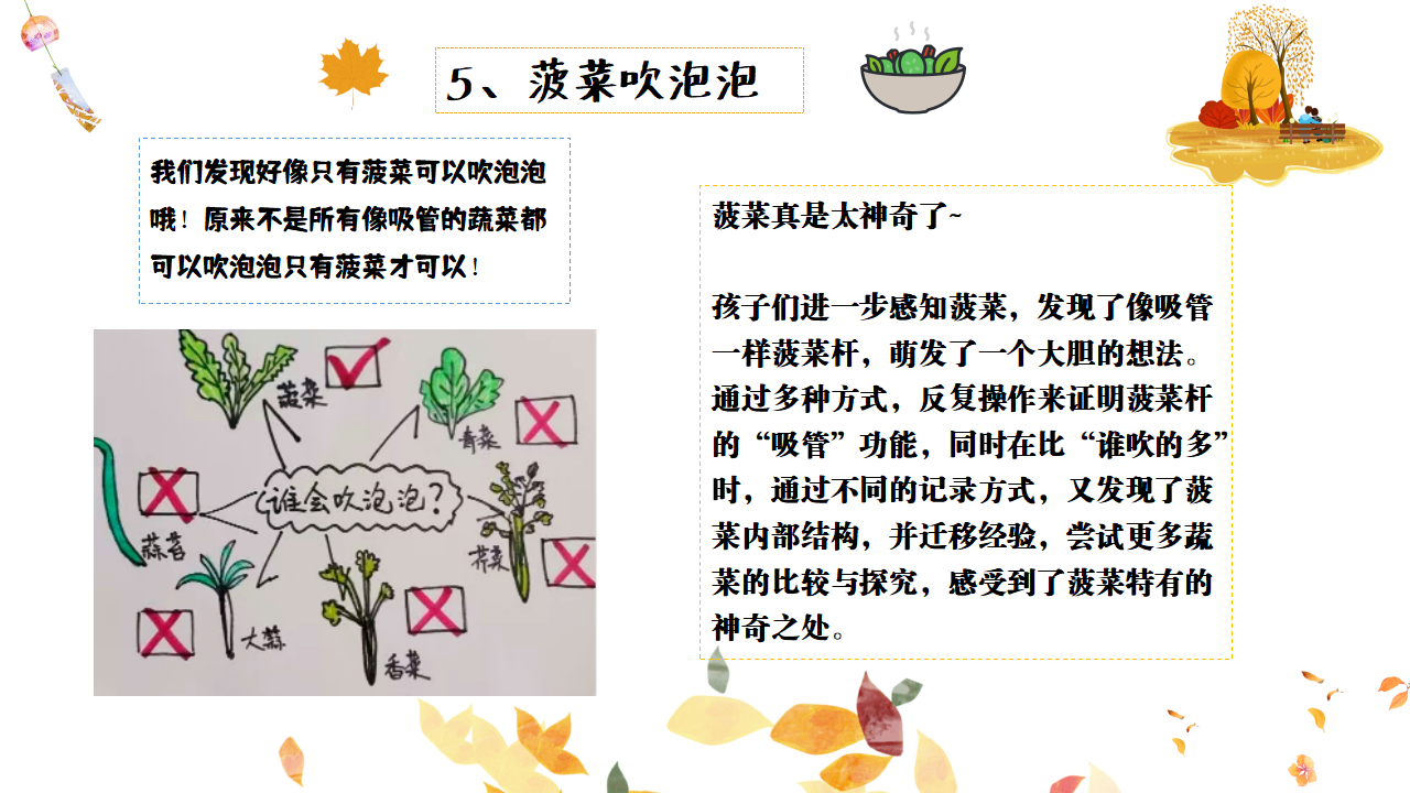 幼儿园班本课程故事——遇见菠菜（58页）_幼儿园班本课程_54.png