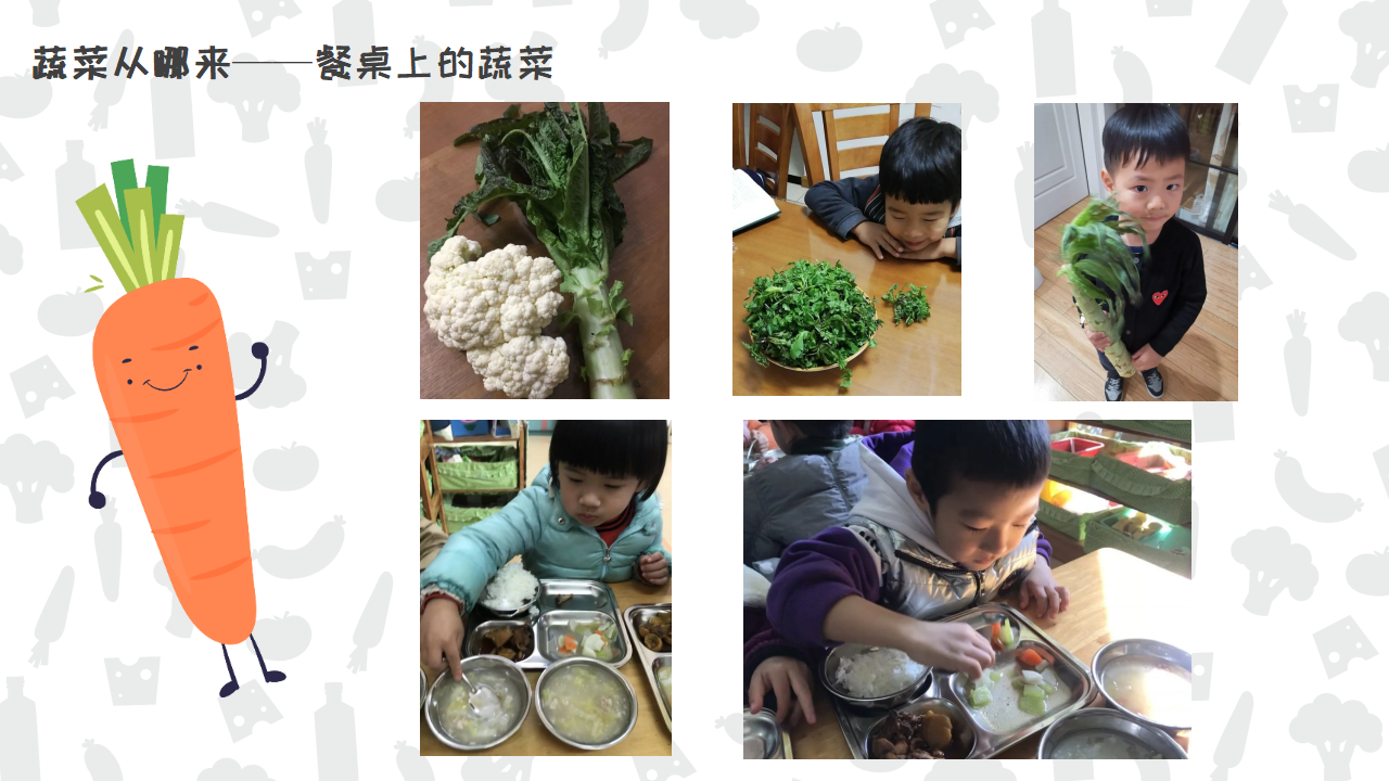 幼儿园班本课程《遇见蔬菜》PPT_幼儿园班本课程_13.png