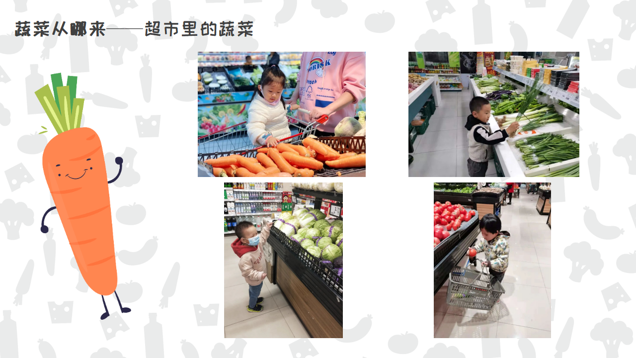 幼儿园班本课程《遇见蔬菜》PPT_幼儿园班本课程_12.png