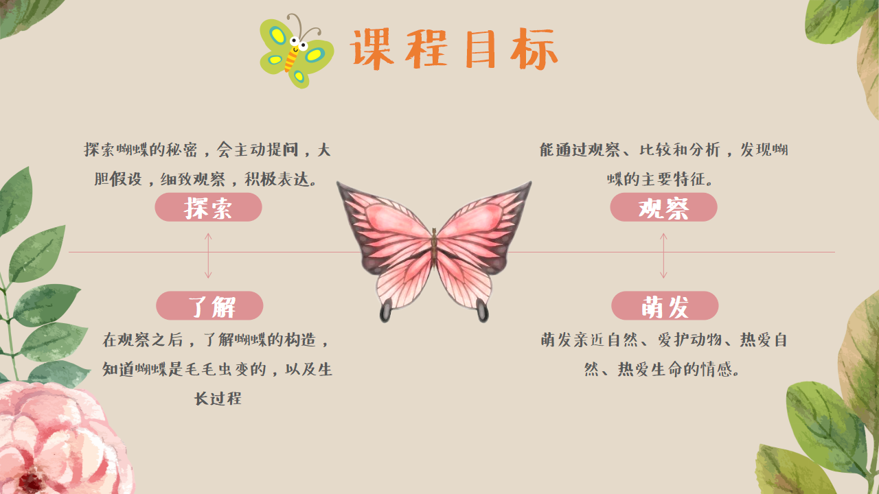 幼儿园班本课程《追逐蝴蝶》PPT_幼儿园班本课程_06.png