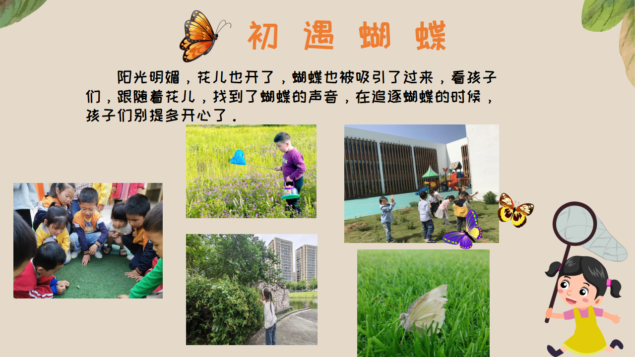 幼儿园班本课程《追逐蝴蝶》PPT_幼儿园班本课程_11.png