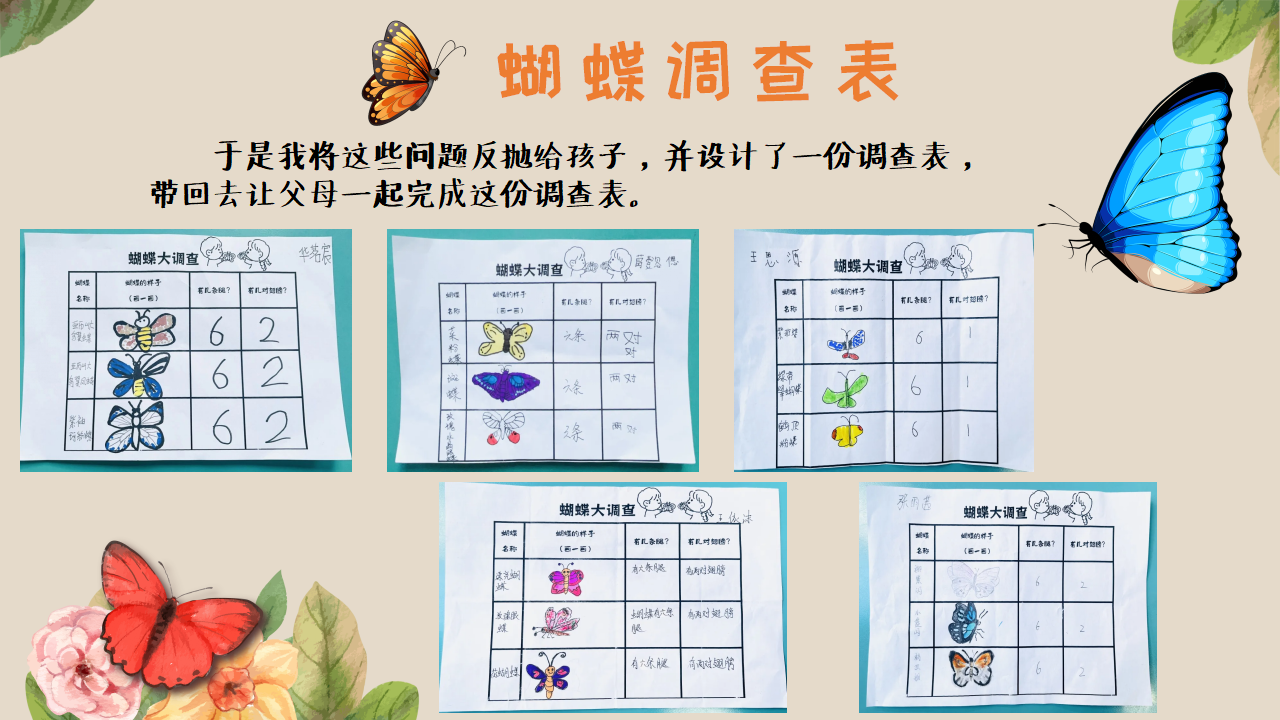 幼儿园班本课程《追逐蝴蝶》PPT_幼儿园班本课程_14.png