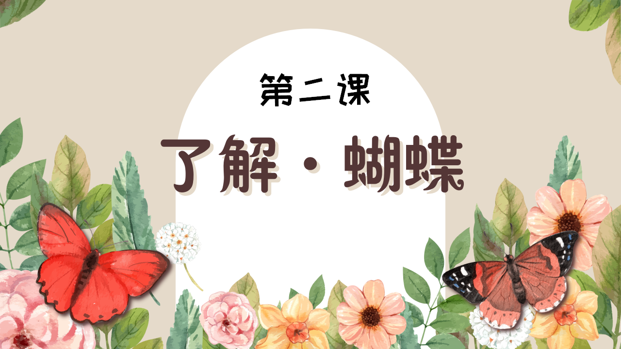 幼儿园班本课程《追逐蝴蝶》PPT_幼儿园班本课程_15.png