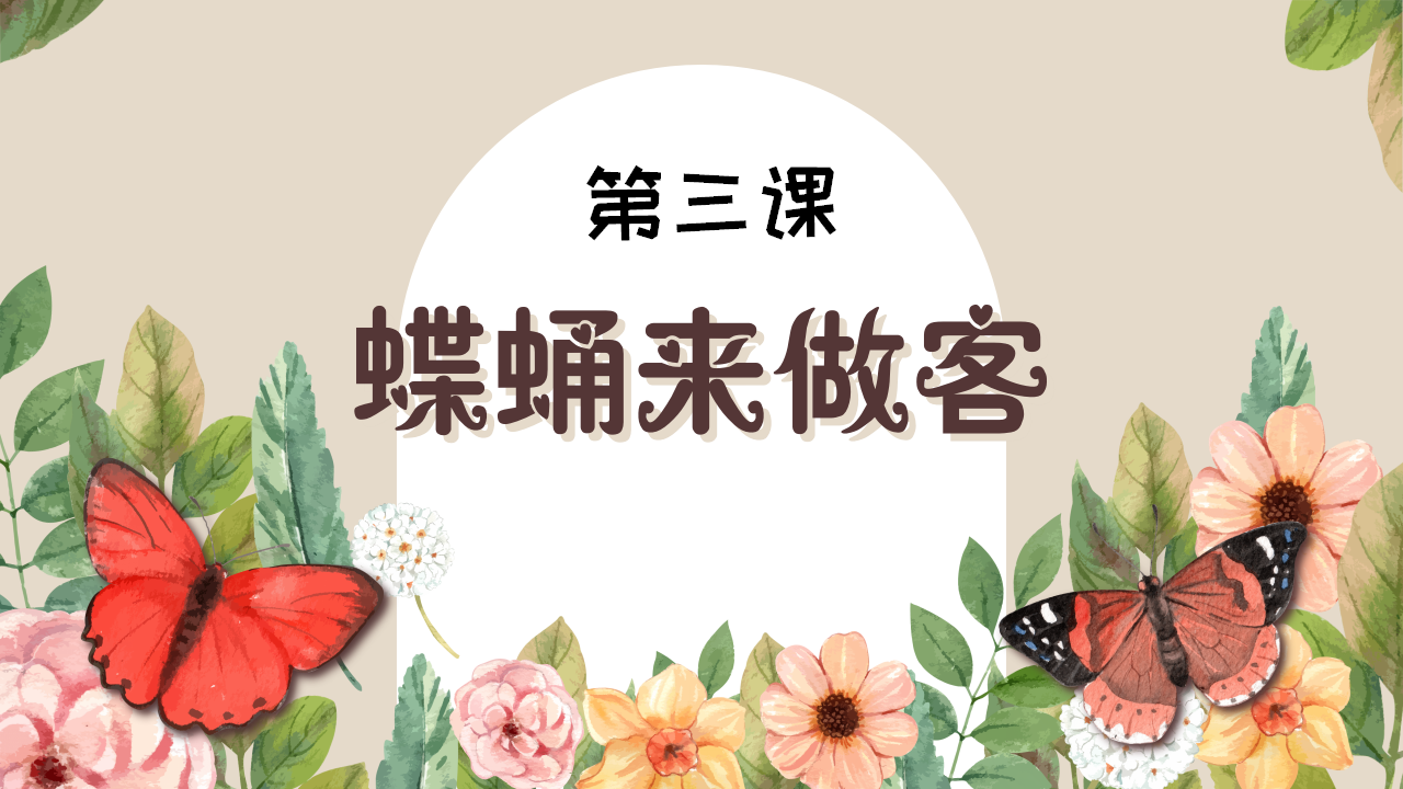 幼儿园班本课程《追逐蝴蝶》PPT_幼儿园班本课程_19.png