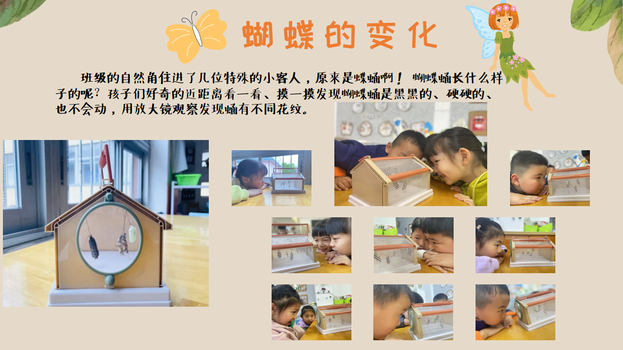幼儿园班本课程《追逐蝴蝶》PPT_幼儿园班本课程_20.png