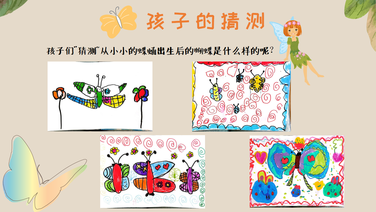 幼儿园班本课程《追逐蝴蝶》PPT_幼儿园班本课程_22.png