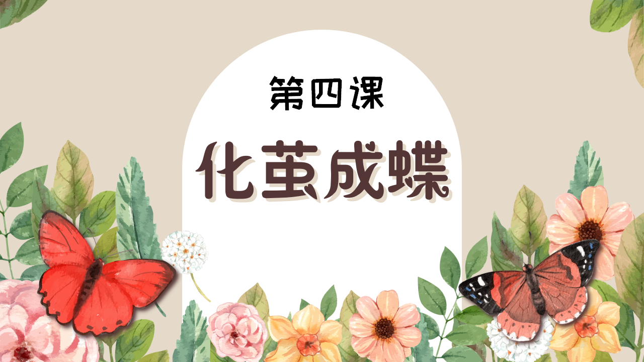 幼儿园班本课程《追逐蝴蝶》PPT_幼儿园班本课程_23.png