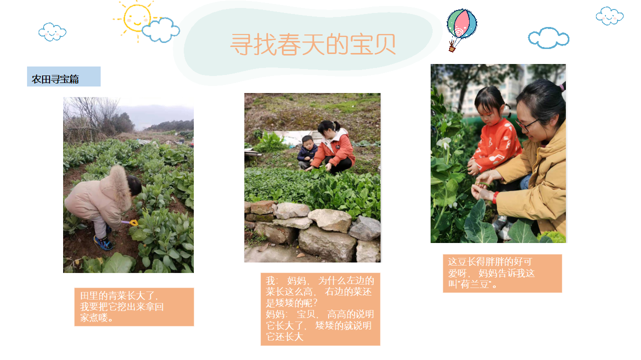 幼儿园班本课程《走进多彩的春天》_幼儿园班本课程_13.png