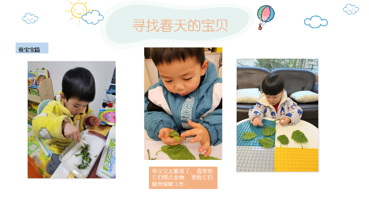 幼儿园班本课程《走进多彩的春天》_幼儿园班本课程_15.png