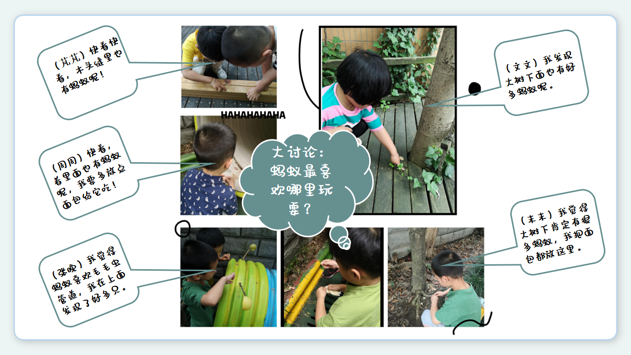 幼儿园课程故事《蚂蚁的秘密》18页_幼儿园班本课程_12.png