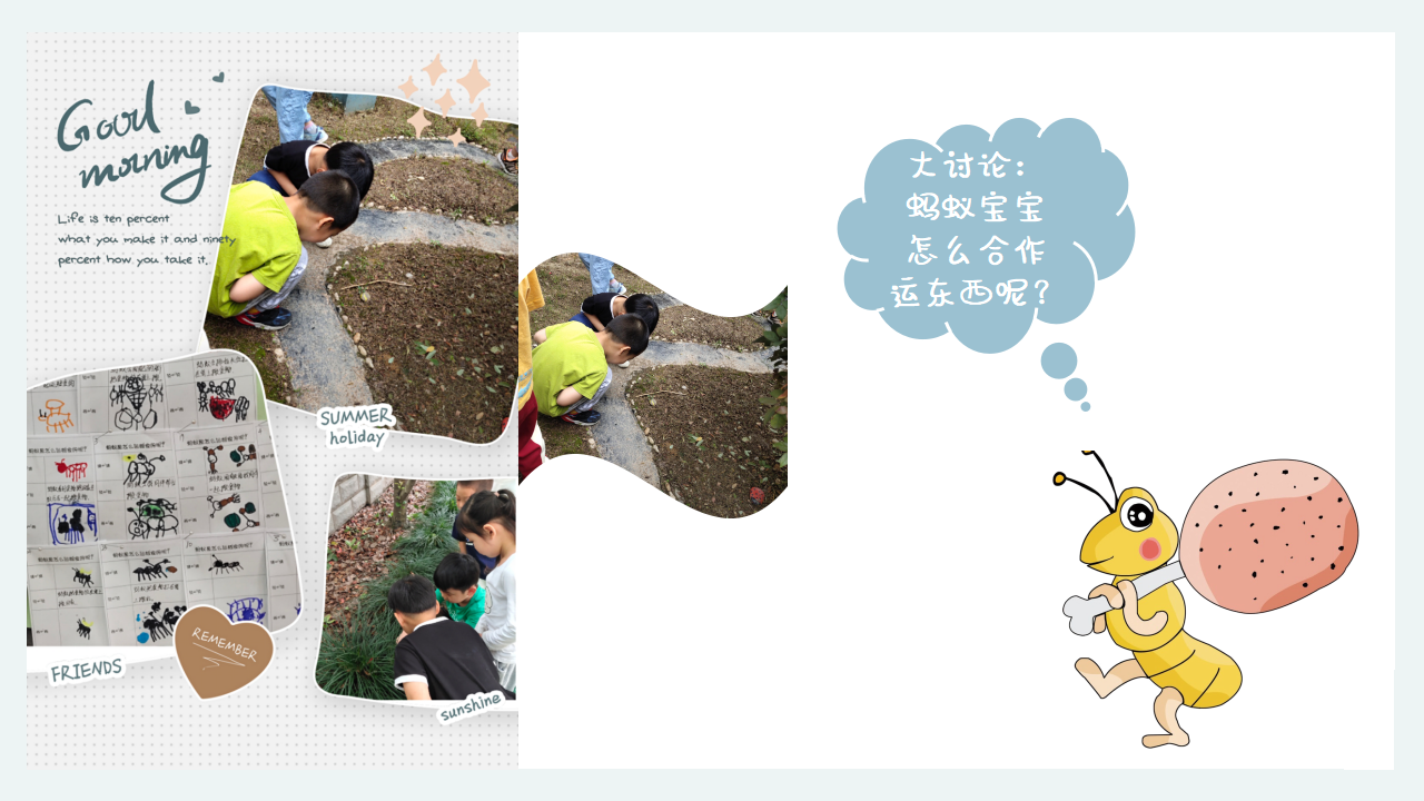 幼儿园课程故事《蚂蚁的秘密》18页_幼儿园班本课程_16.png
