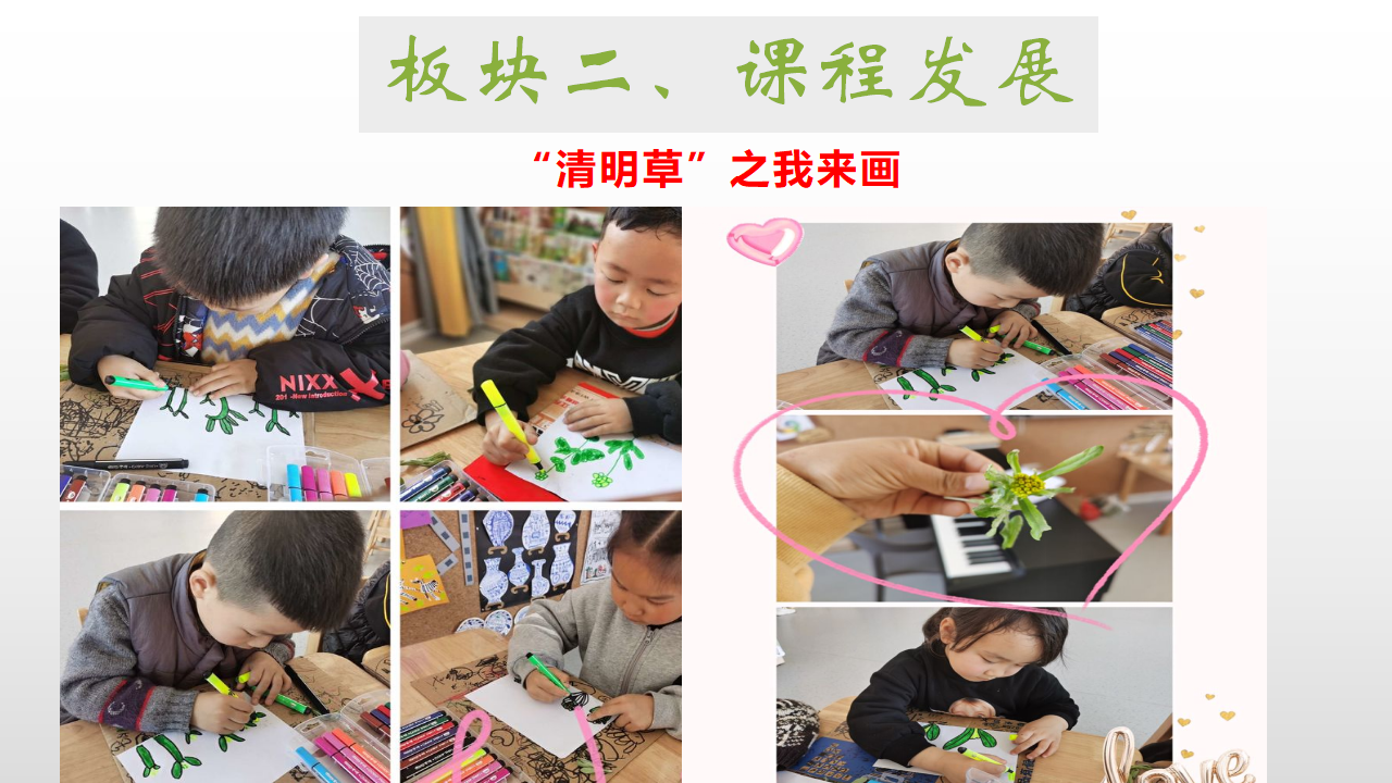 幼儿园课程故事《探秘清明草》_幼儿园班本课程_10.png