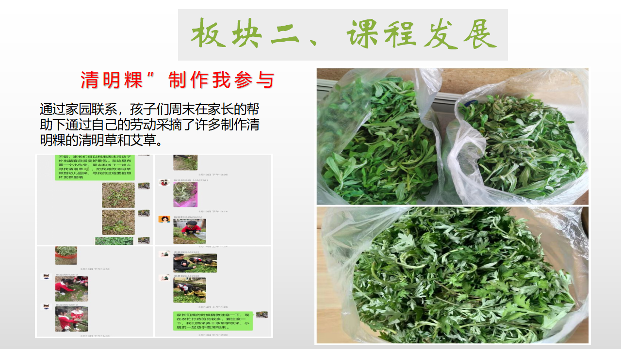 幼儿园课程故事《探秘清明草》_幼儿园班本课程_13.png