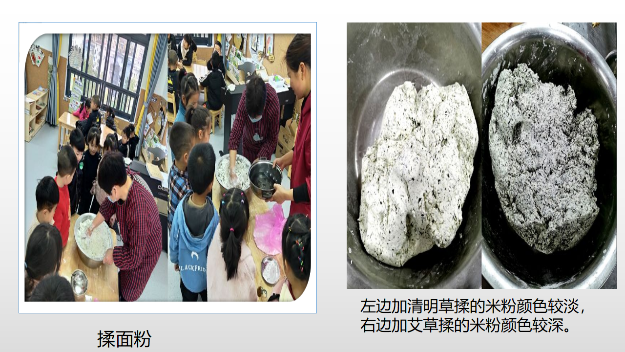幼儿园课程故事《探秘清明草》_幼儿园班本课程_16.png