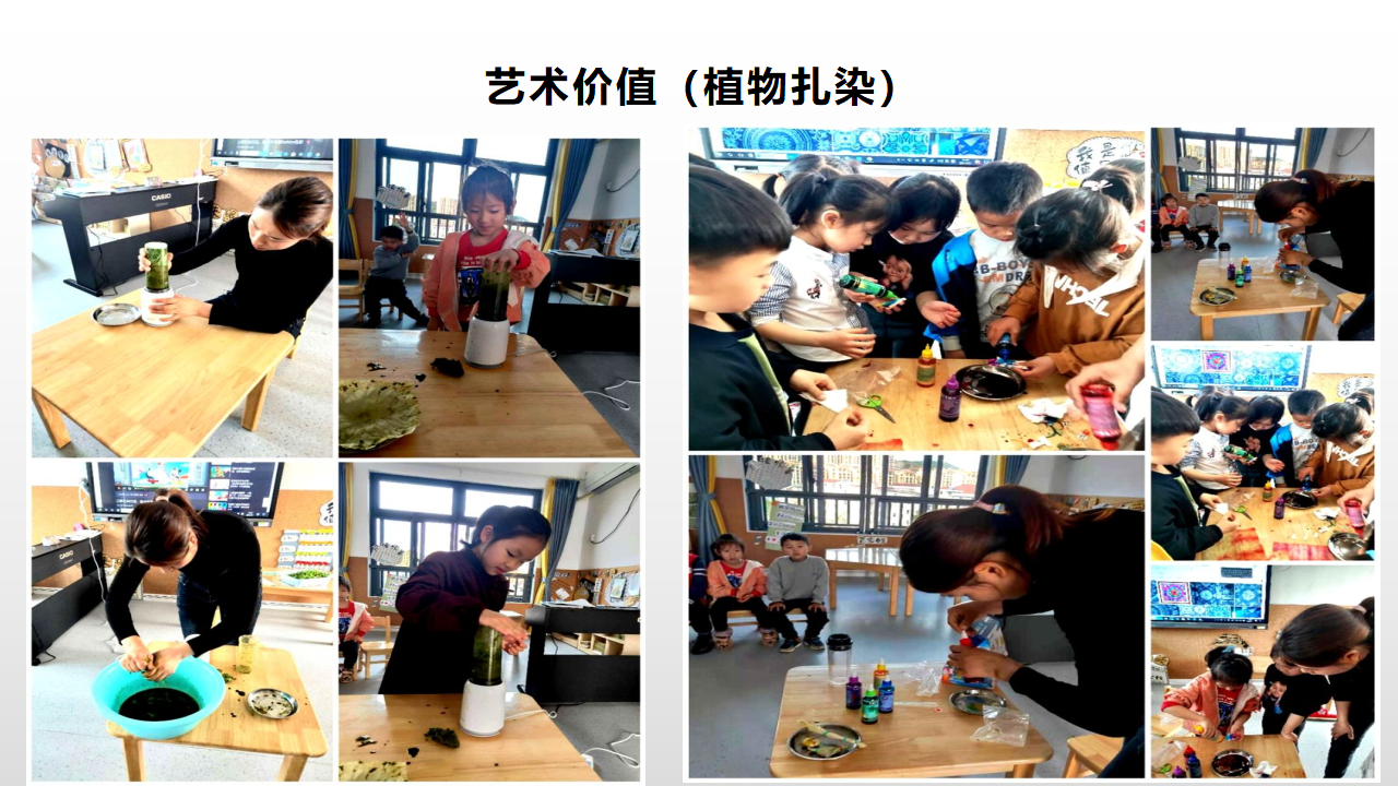 幼儿园课程故事《探秘清明草》_幼儿园班本课程_22.png