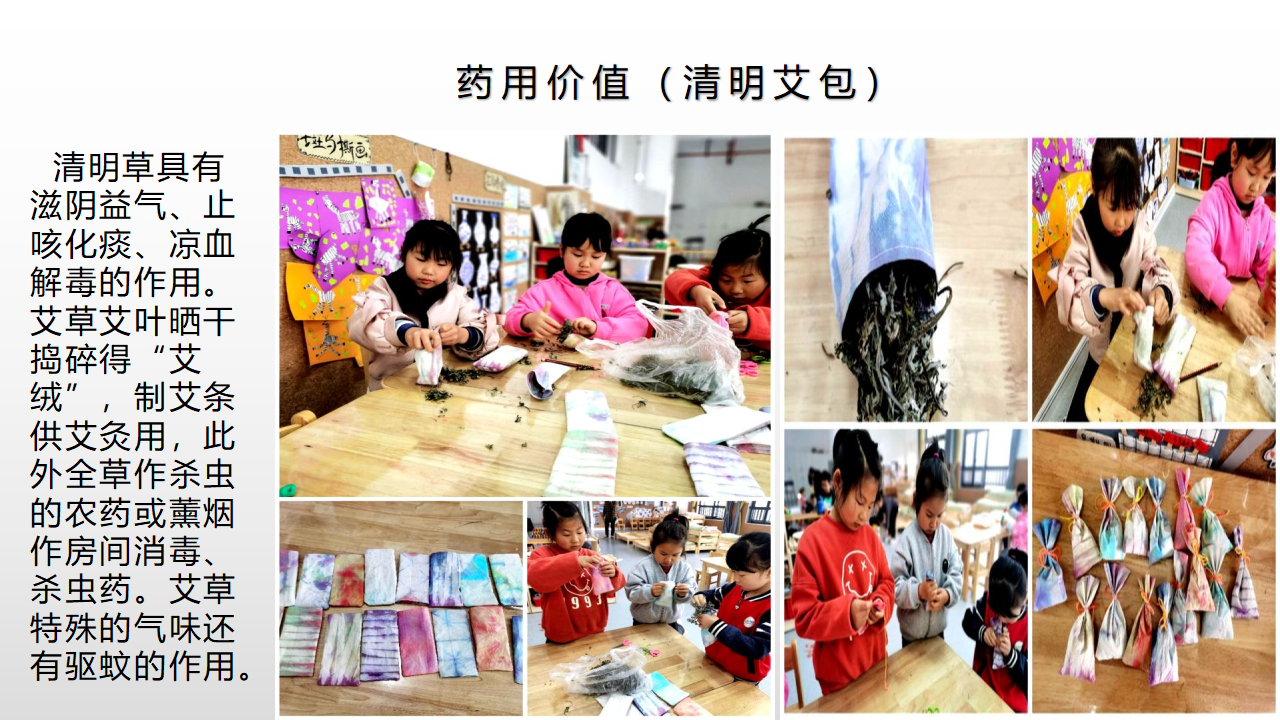 幼儿园课程故事《探秘清明草》_幼儿园班本课程_24.png