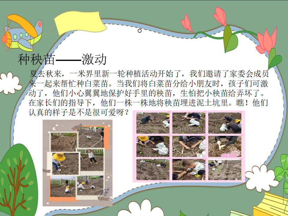 幼儿园课程故事《我爱大白菜》_幼儿园班本课程_04.png