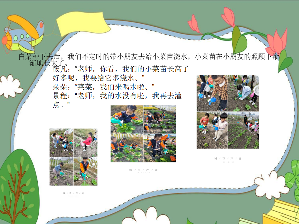 幼儿园课程故事《我爱大白菜》_幼儿园班本课程_07.png
