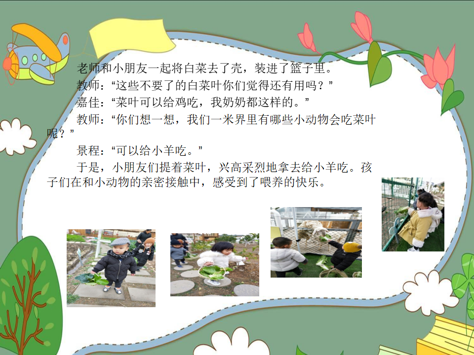 幼儿园课程故事《我爱大白菜》_幼儿园班本课程_13.png