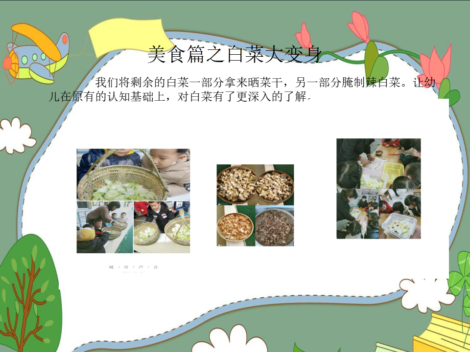 幼儿园课程故事《我爱大白菜》_幼儿园班本课程_16.png