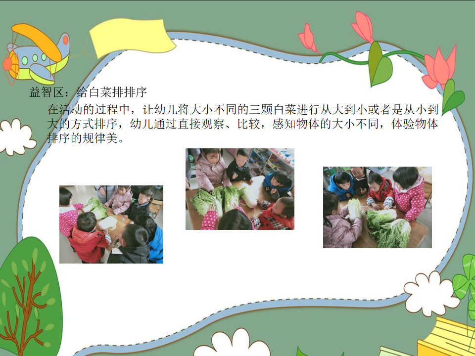 幼儿园课程故事《我爱大白菜》_幼儿园班本课程_19.png