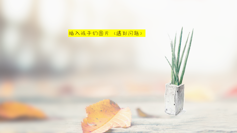 幼儿园课程故事《我”慧“整理》20页_幼儿园班本课程_11.png