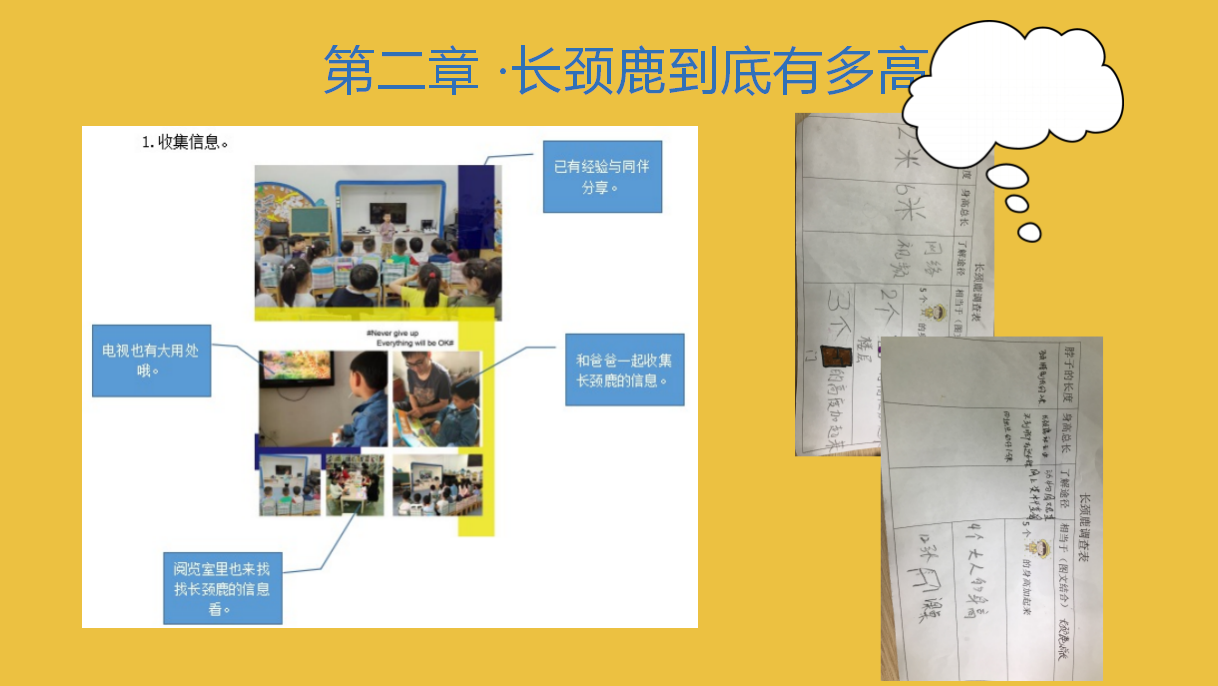 幼儿园课程故事《你好，长颈鹿》_幼儿园班本课程_06.png