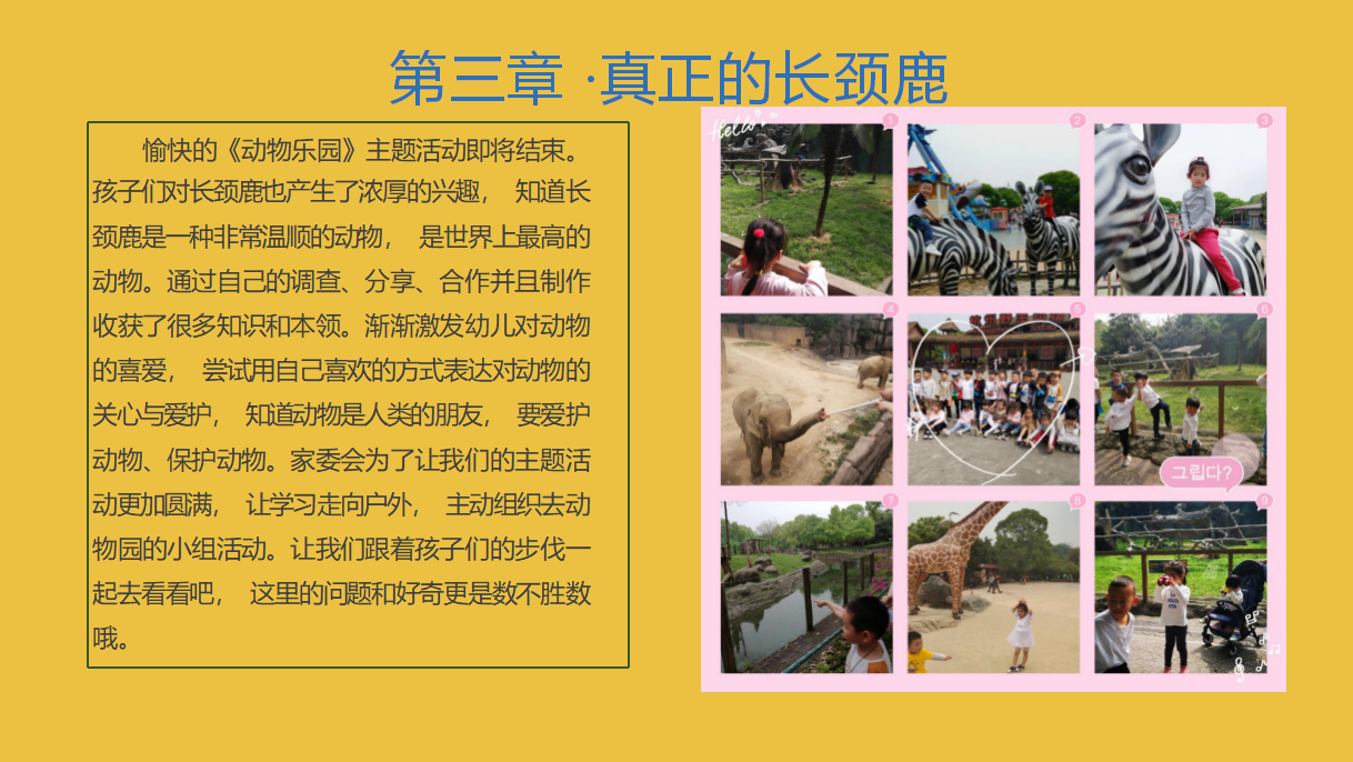 幼儿园课程故事《你好，长颈鹿》_幼儿园班本课程_14.png