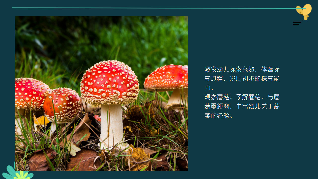 幼儿园小班班本课程《蘑菇嘉年华》16页_幼儿园班本课程_06.png