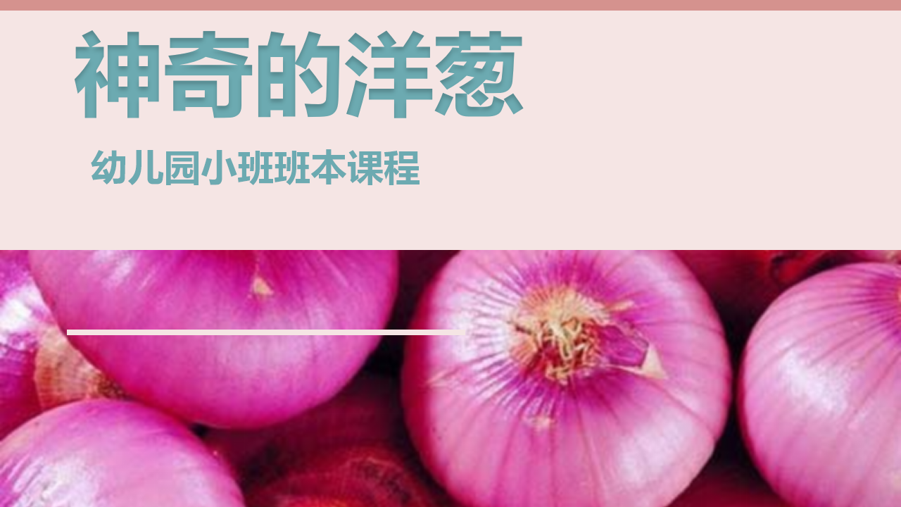 幼儿园小班班本课程《神奇的洋葱》18页_幼儿园班本课程_01.png