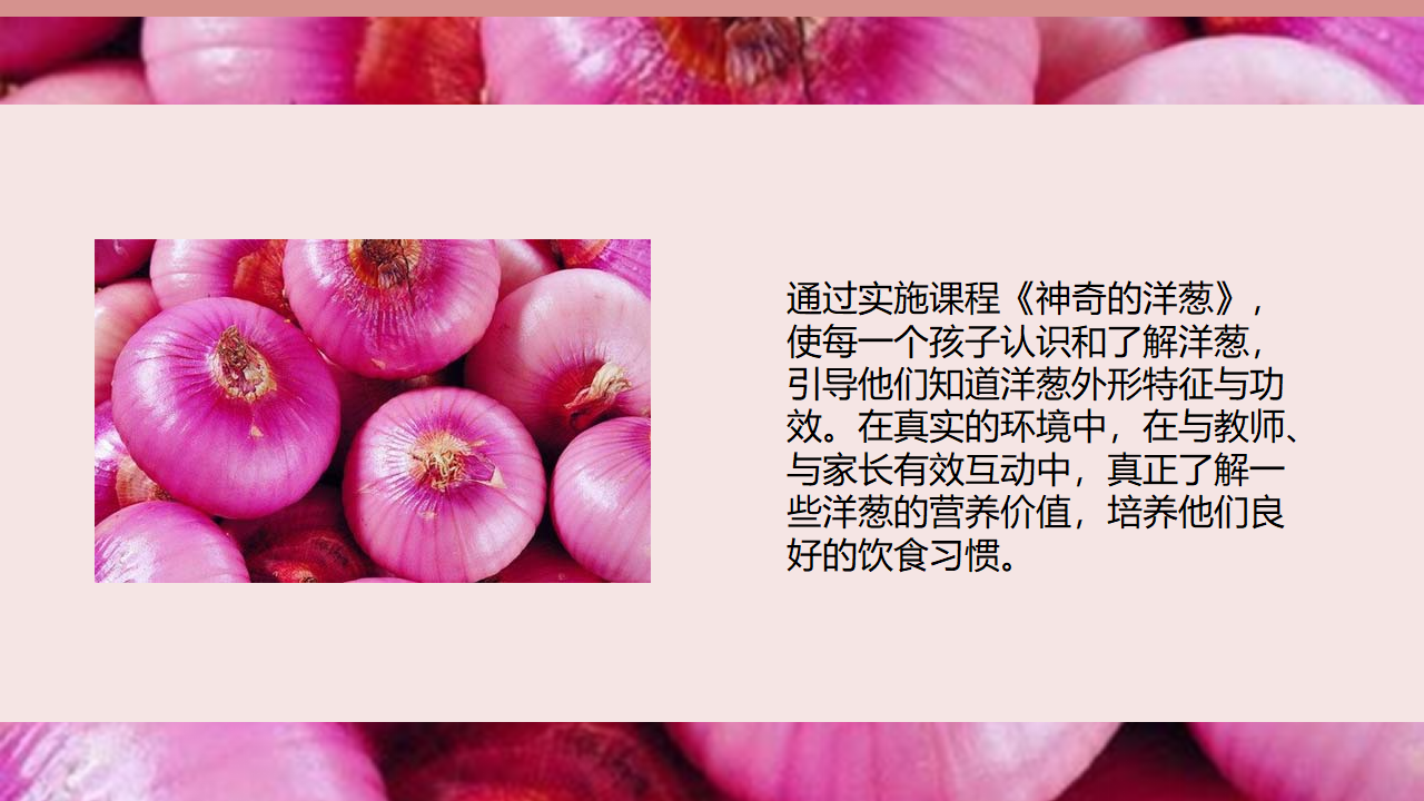 幼儿园小班班本课程《神奇的洋葱》18页_幼儿园班本课程_06.png