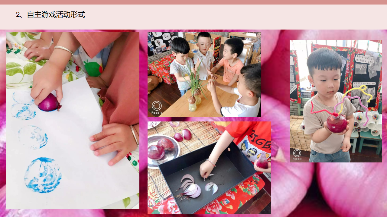 幼儿园小班班本课程《神奇的洋葱》18页_幼儿园班本课程_09.png