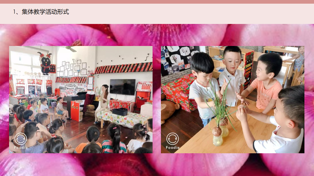 幼儿园小班班本课程《神奇的洋葱》18页_幼儿园班本课程_08.png