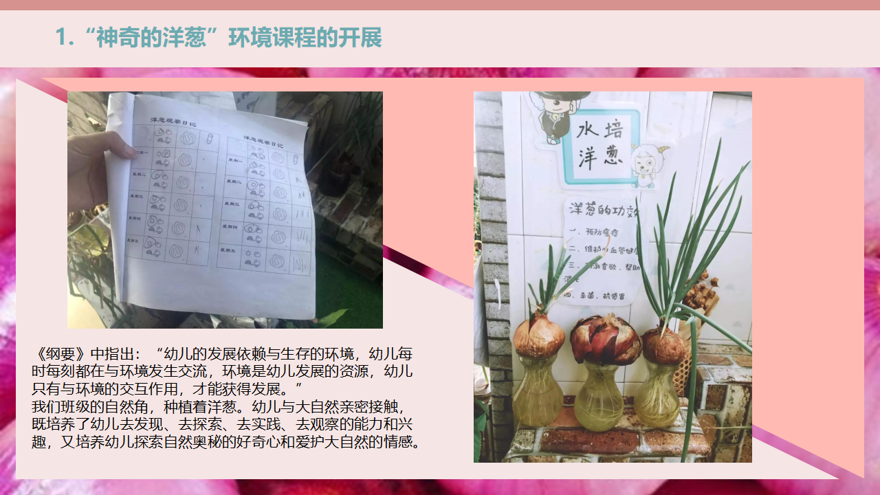 幼儿园小班班本课程《神奇的洋葱》18页_幼儿园班本课程_12.png