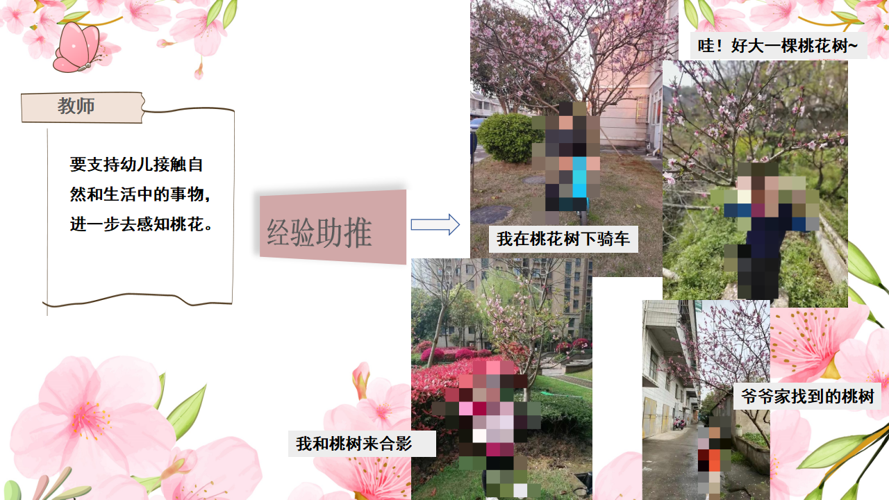 幼儿园小班班本课程《桃花朵朵开》28页_幼儿园班本课程_06.png