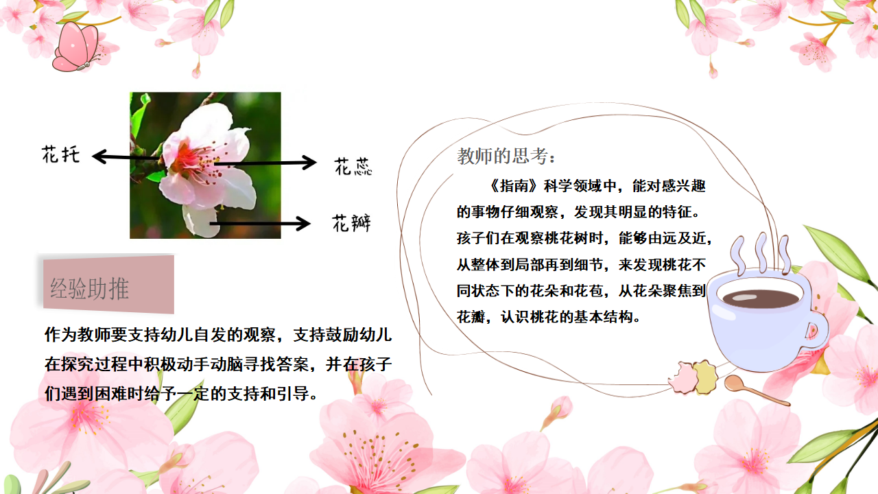幼儿园小班班本课程《桃花朵朵开》28页_幼儿园班本课程_10.png