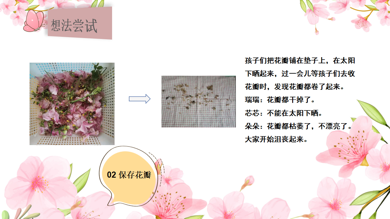 幼儿园小班班本课程《桃花朵朵开》28页_幼儿园班本课程_14.png