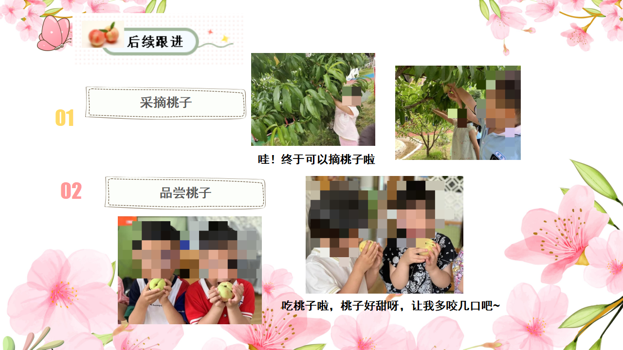 幼儿园小班班本课程《桃花朵朵开》28页_幼儿园班本课程_25.png