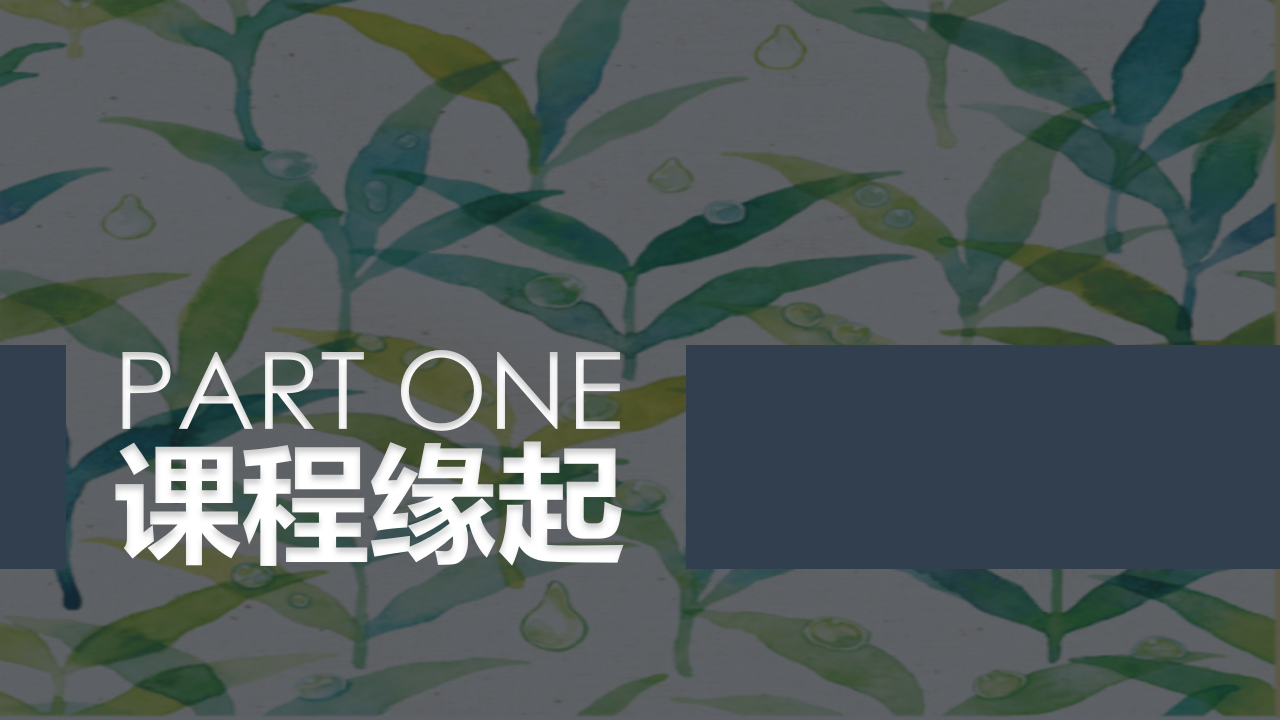 幼儿园小班班本课程《树叶宝宝》22页_幼儿园班本课程_03.png