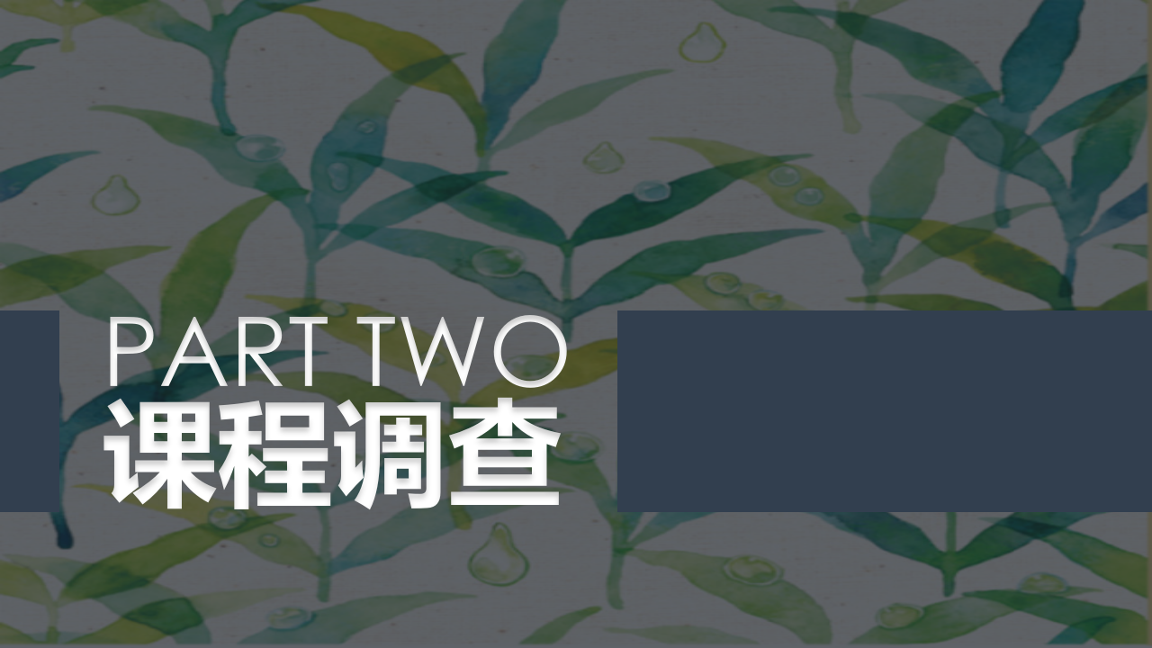 幼儿园小班班本课程《树叶宝宝》22页_幼儿园班本课程_05.png