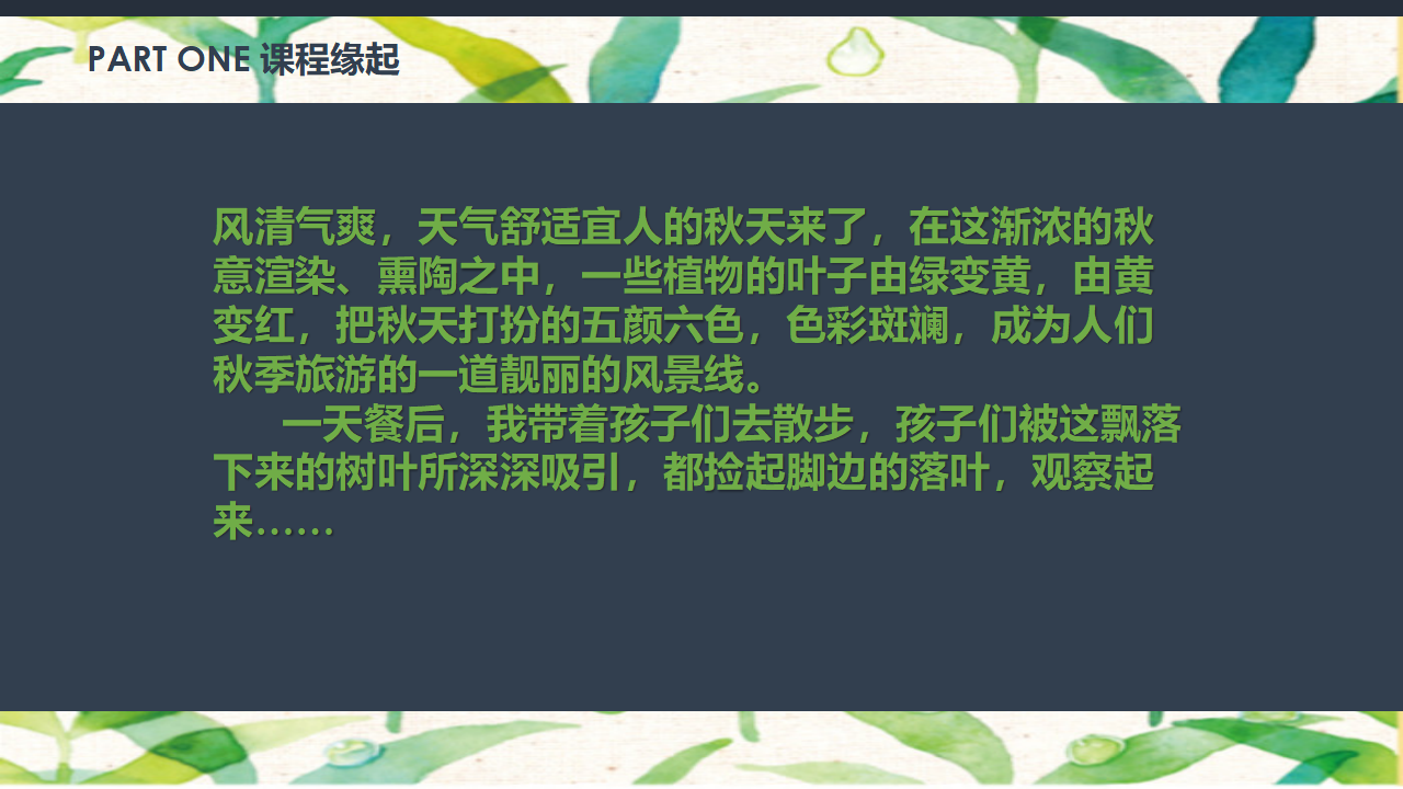 幼儿园小班班本课程《树叶宝宝》22页_幼儿园班本课程_04.png