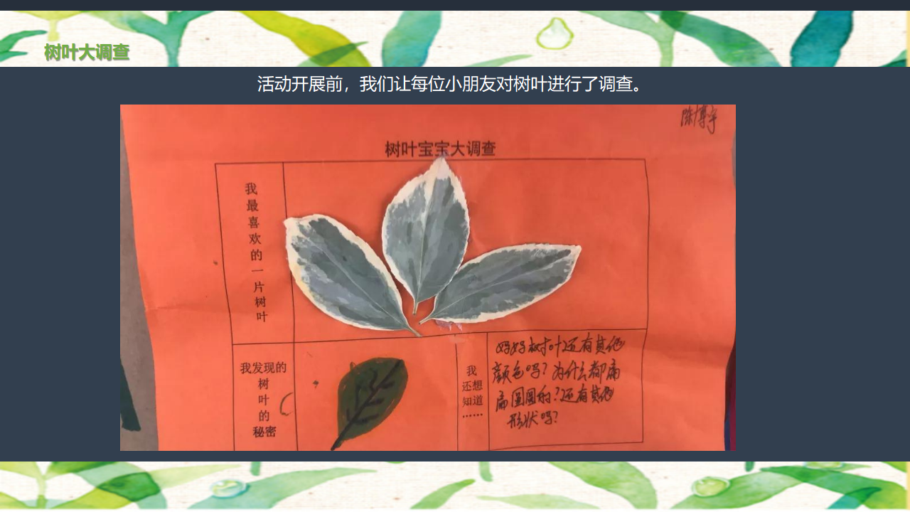 幼儿园小班班本课程《树叶宝宝》22页_幼儿园班本课程_06.png