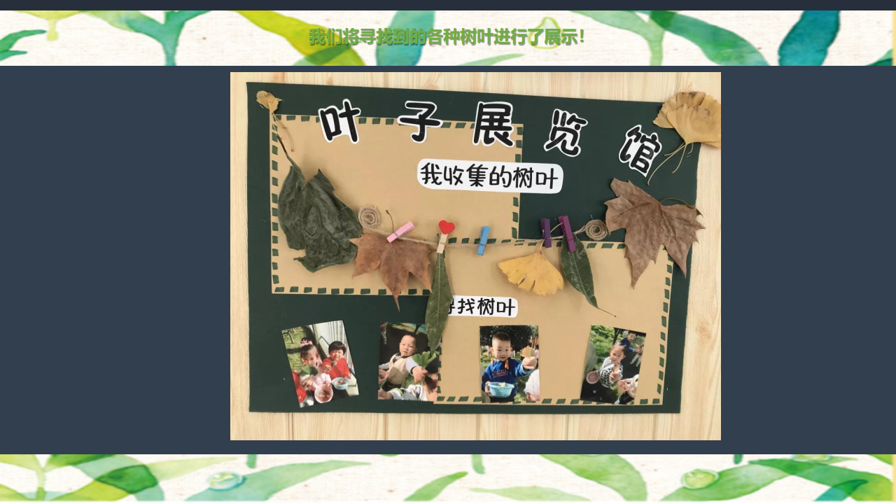 幼儿园小班班本课程《树叶宝宝》22页_幼儿园班本课程_10.png