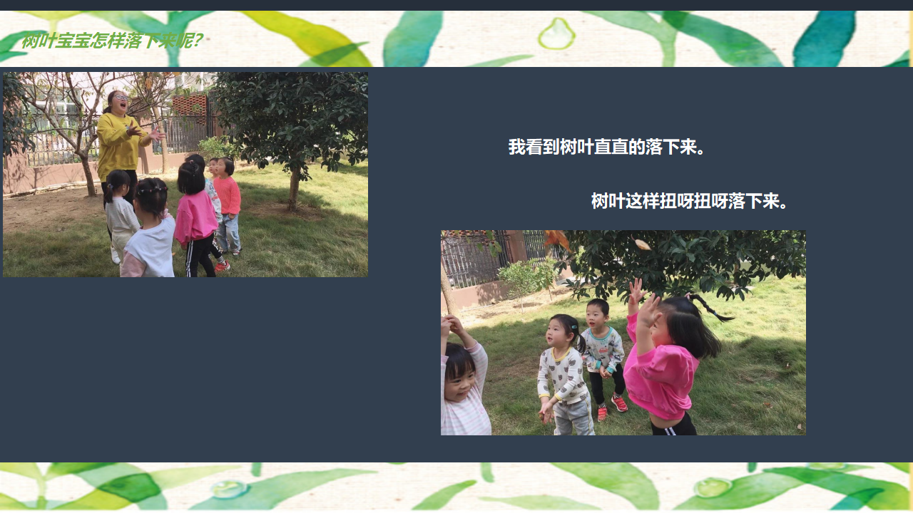 幼儿园小班班本课程《树叶宝宝》22页_幼儿园班本课程_11.png