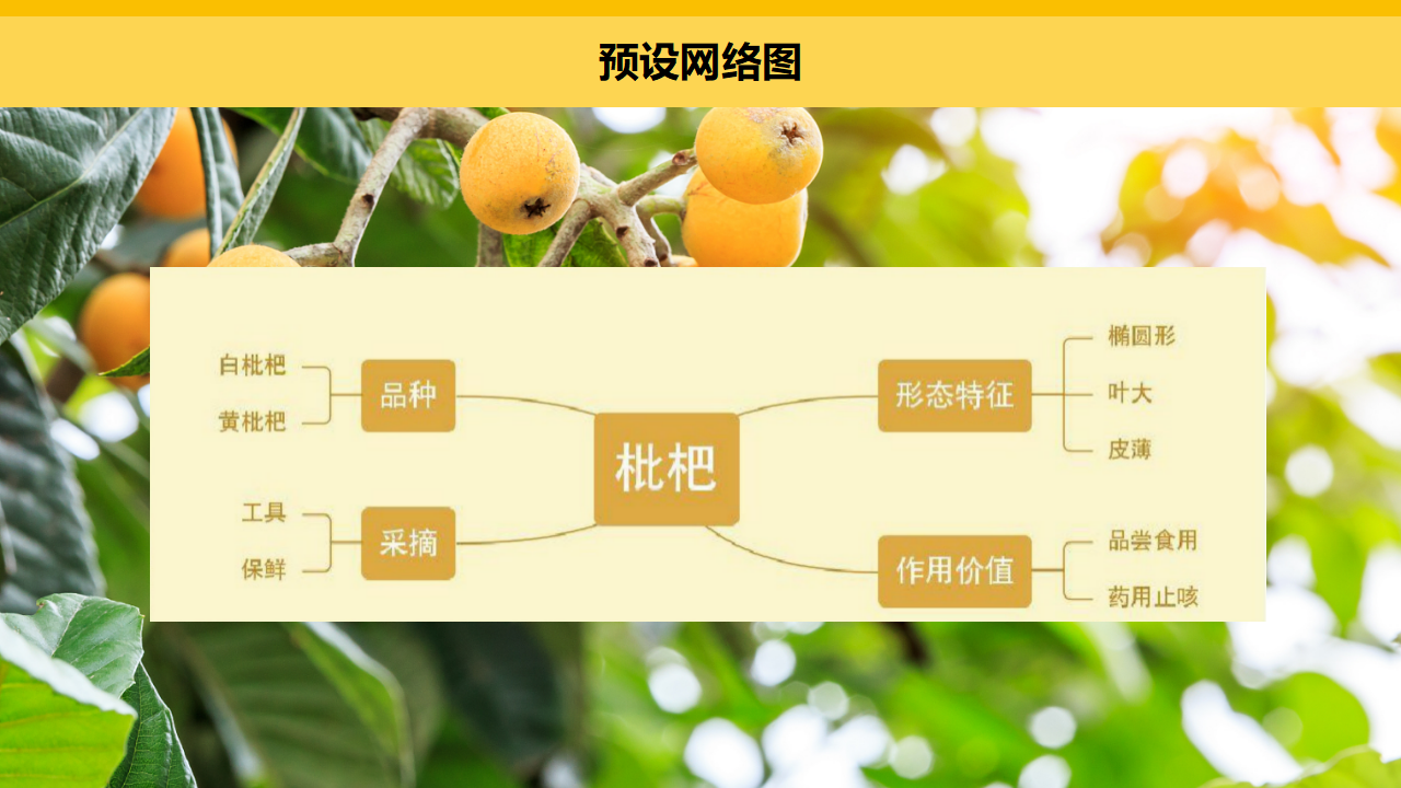 幼儿园中班班本课程《枇杷的故事》35页_幼儿园班本课程_08.png