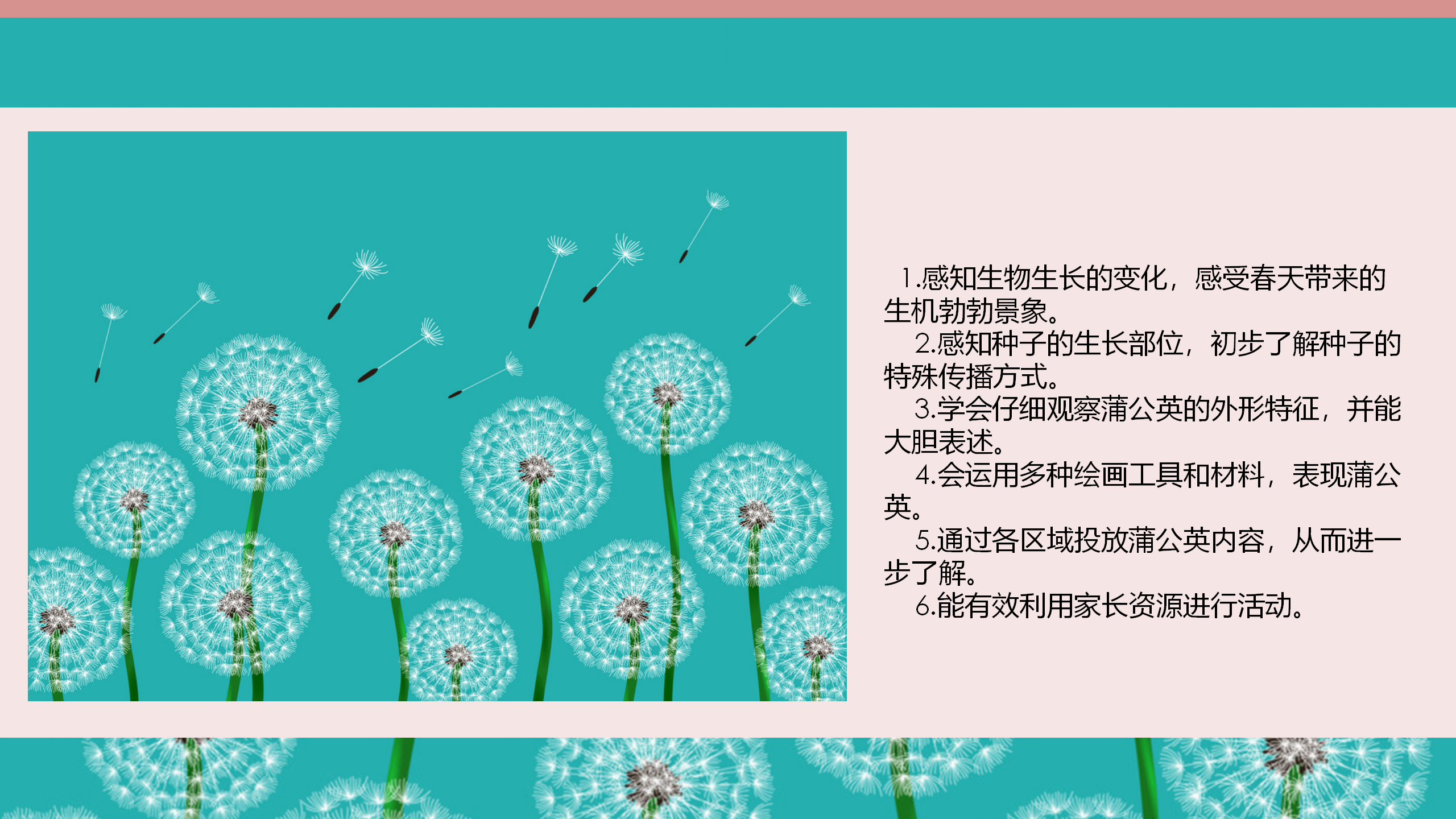 中班班本课程《蒲公英的约定》17页_幼儿园班本课程_06.png